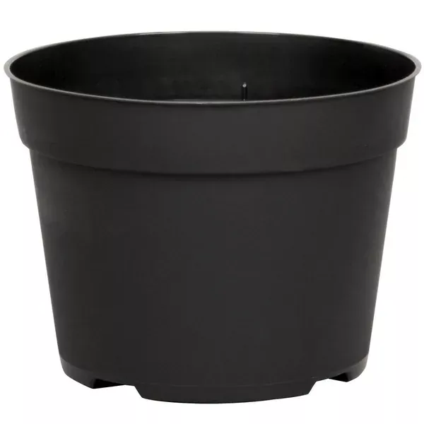 HC Companies DLN 06.50 RND AZ TRAD T/W BLK (Case of 240)